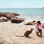 Things To Do In Australia