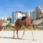 things to do in uae in summer