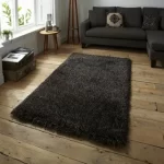 shaggy rugs for living room