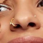 nose rings