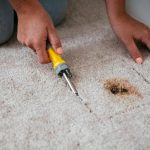 Tips For Carpet Repairing Services