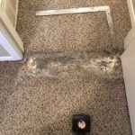 Carpet Repair in Brisbane