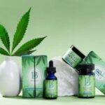 How Engaging Design Custom CBD Boxes Are Best to Attract Customers